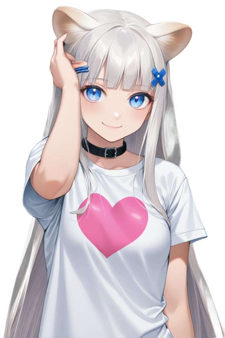 1girl, stoat girl, solo,  ((white hair)), very long hair, blue eyes, (straight hair), (bangs), animal ears, (stoat ears:1.2),
 Choker, ahoge, yaeba, (big white stoat Tail:1.2), (blue X hairpin), hold, holding pink heart, cartoon tshirt, white tshirt, collar, hair covering one eye, looking at the camera, little smile,