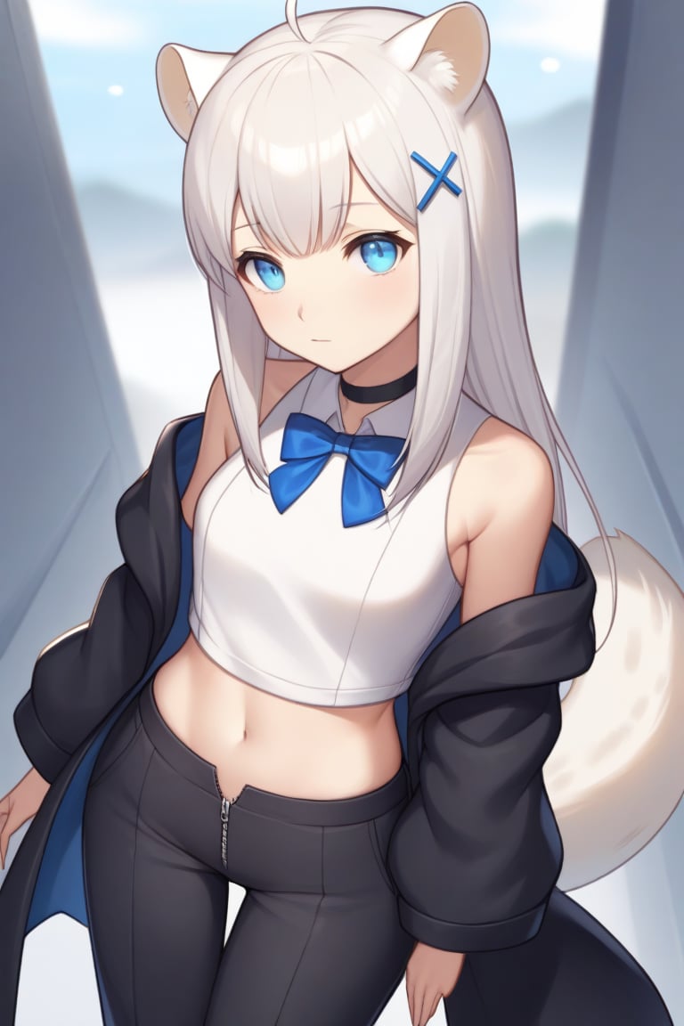 1girl, stoat girl, solo,  ((white hair)), very long hair, blue eyes, (straight hair), (bangs), animal ears, (stoat ears:1.2),
 Choker, ahoge, yaeba, (big white stoat Tail:1.2), (blue X hairpin), (White collared sleeveless top, (midriff), blue chest bow), 
(black hooded overcoat:1.2), (overcoat half zipped), (black short pants) (Off the shoulders),
high angle shot,Beautiful eyes