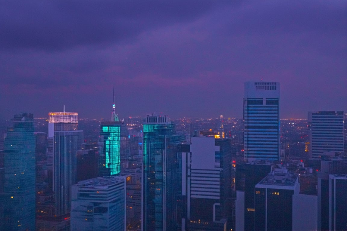 dark orange clouds illuminated by the city, purple sky, square and rectangular skyscrapers with white frequent square windows, shades of skyscraper windows light green, blue, dark blue, dark turquoise. The roofs of skyscrapers from dark squares to squares are illuminated with a dim blue square border, some skyscrapers are topped with red lights in the corners, and a red diode is installed above one skyscraper to warn airplanes.