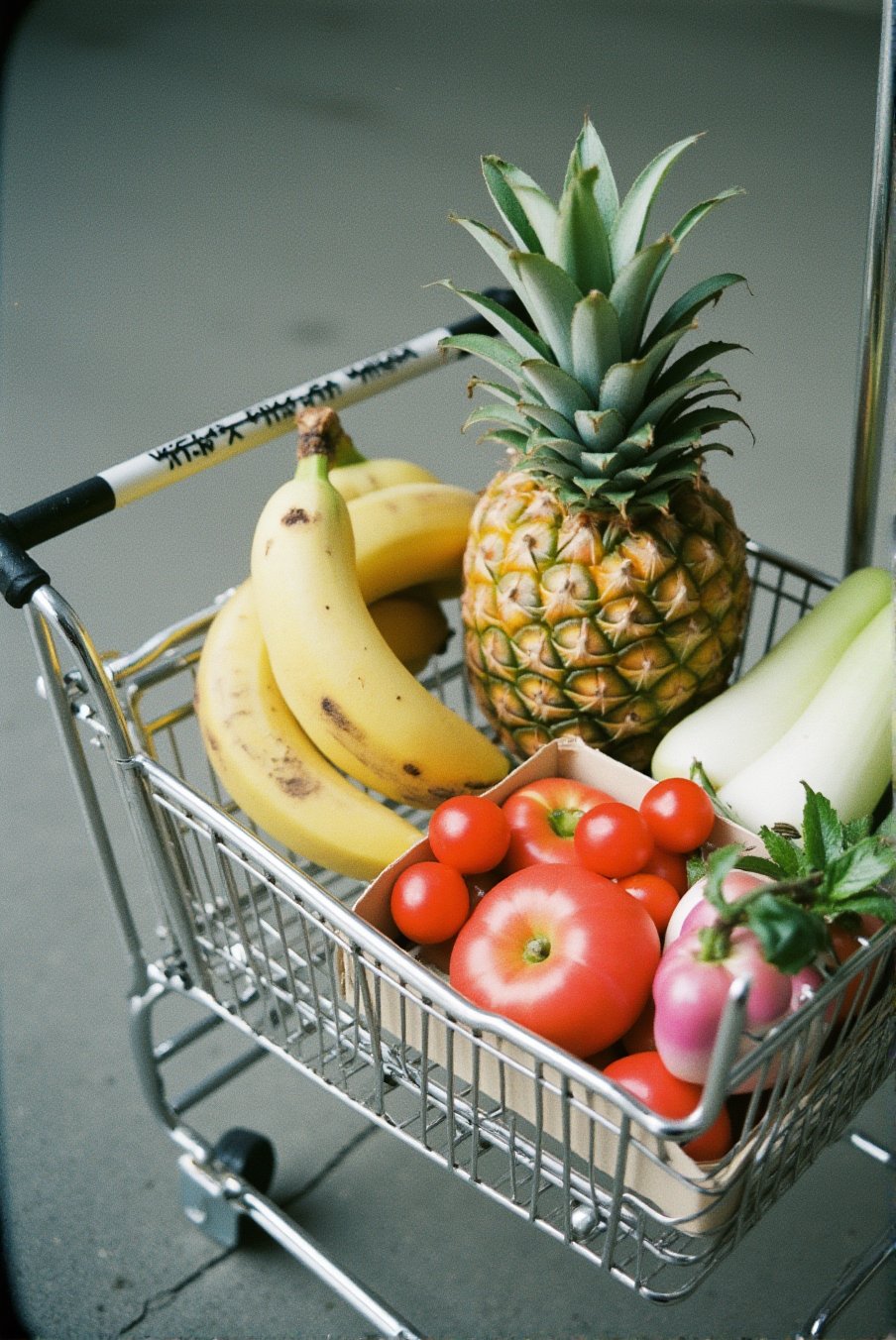 (((bird's view on a shopping cart))) ,
(homemade photo, candid shot, natural lighting, {medium shot | close-up}, 
instax picture, metal shopping cart with a banana, box of chocolates, an (((upside down pineapple ))) and some pre-packaged vegetables,  timeless, ethereal quality.,perfect eyes,skin blemish,detailed skin, flfmt,2007 blog,2005 blog, bird's perspective view 