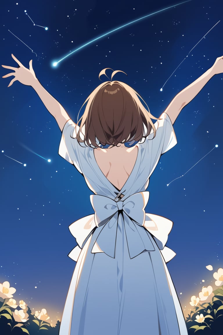 Masterpiece, best quality, beautiful feeling,
one girl, short hair, brown hair, dress, bow, standing, flower, outdoors, sky, from behind, star \(symbol\), white dress, arms up, night, antenna hair, outstretched arms, star \(sky\), night sky, starry sky, rabbit, back bow, shooting star, constellation,flat style