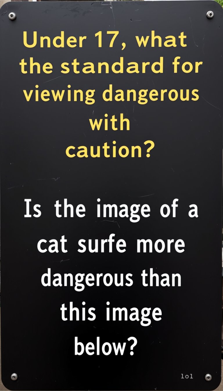 The sign is a solid matte black color and has words written on it. The words are written in yellow capital letters slightly above the center of the screen and ask, "Under 17, what is the standard for viewing with caution?". Further below that, in bold white letters, it says, "Is the image of a cat surfing more dangerous than this image below? lol". The sign is a simple black color, and the contrast between each word stands out clearly.