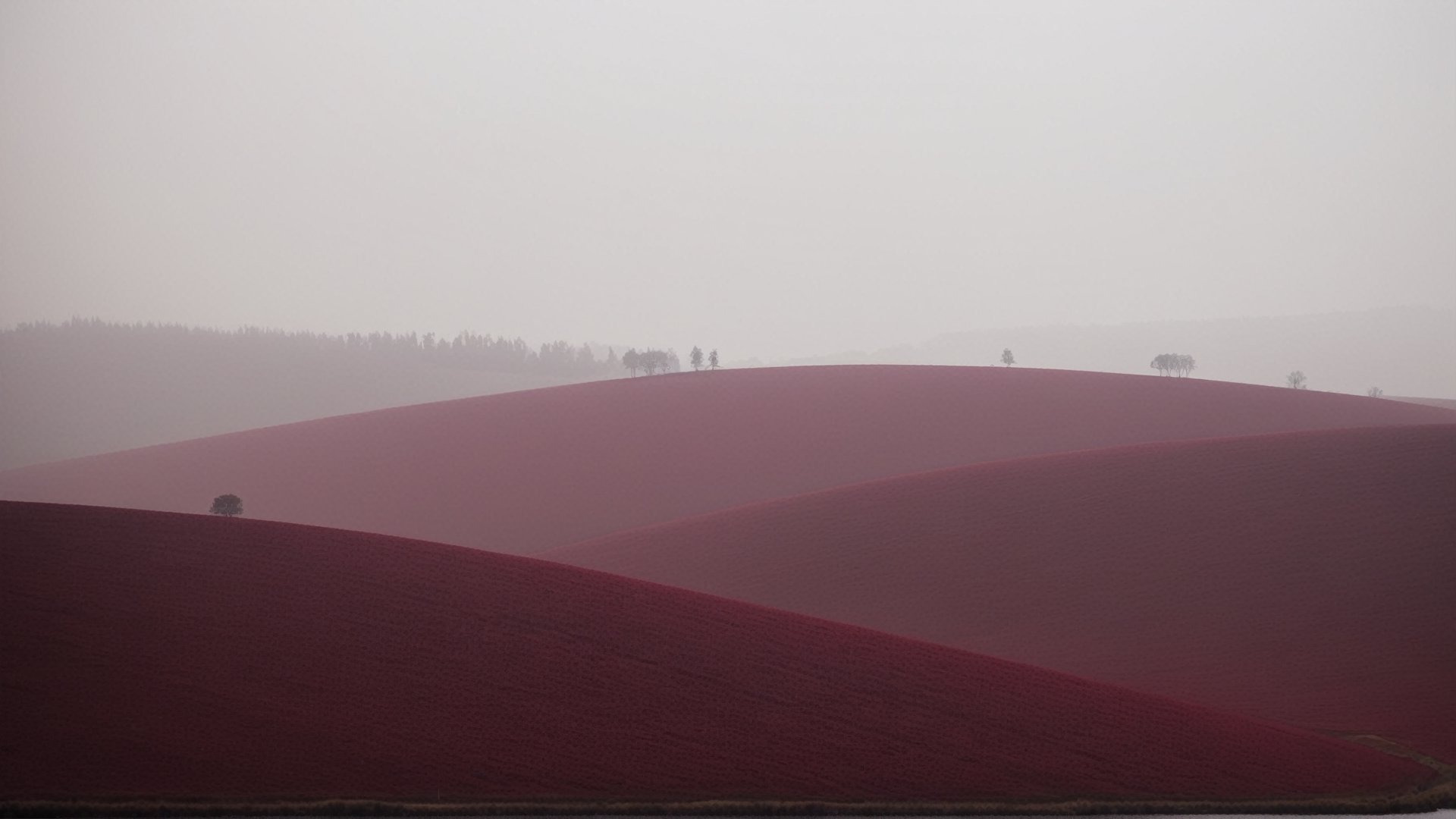 Alone Moods,just only Deep Burgundy colour,haze,no human
