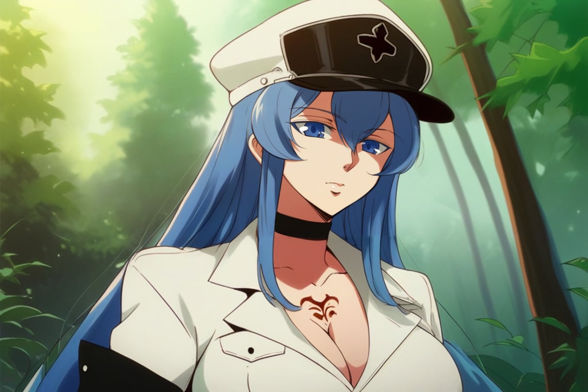 score_9, score_8_up, score_7_up, score_6_up, score_5_up, score_4_up, BREAK source_anime, 1girl, solo, esdeath, mature female, aldult, blue eyes, blue hair, long hair, hat, peaked cap, cleavage, large breasts, military uniform, military, uniform, choker, chest tattoo, upper body, standing, outdoors, nature, oshi_no_ko_style