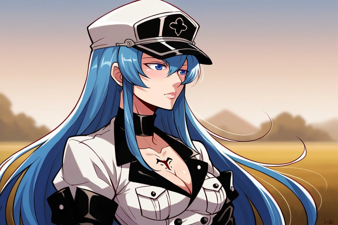 score_9, score_8_up, score_7_up, score_6_up, score_5_up, score_4_up, BREAK source_anime, 1girl, solo, esdeath, upper body, standing, outdoors