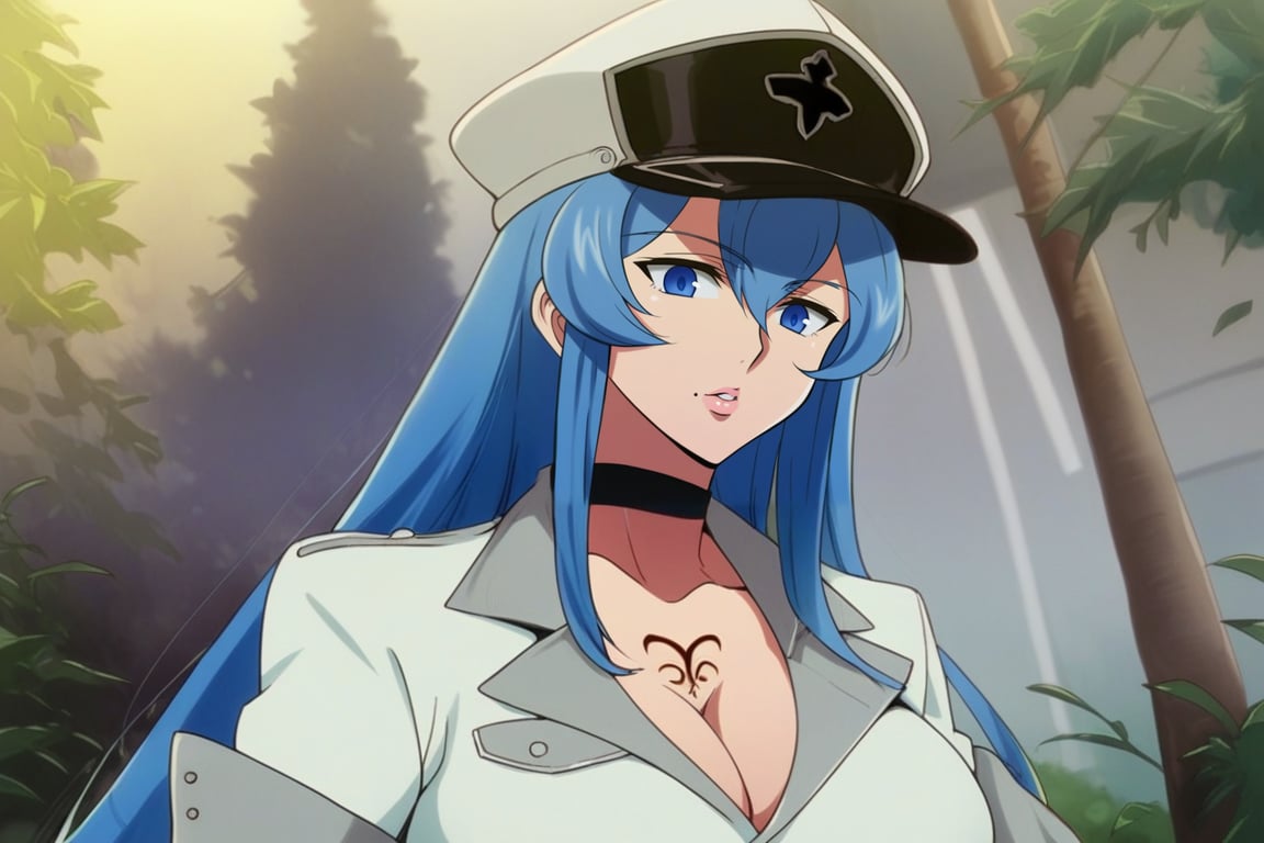 score_9, score_8_up, score_7_up, score_6_up, score_5_up, score_4_up, BREAK source_anime, 1girl, solo, esdeath, mature female, aldult, blue eyes, blue hair, long hair, hat, peaked cap, cleavage, large breasts, military uniform, military, uniform, choker, chest tattoo, upper body, standing, outdoors, oshi_no_ko_style