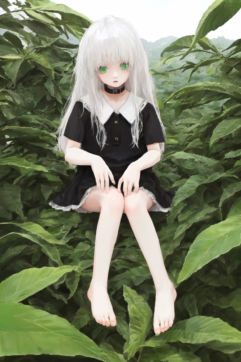 high quality
8 year old girl
albino
long white hair
pronounced nose

green cat eyes
black collar dress
barefoot

on a coffee farm