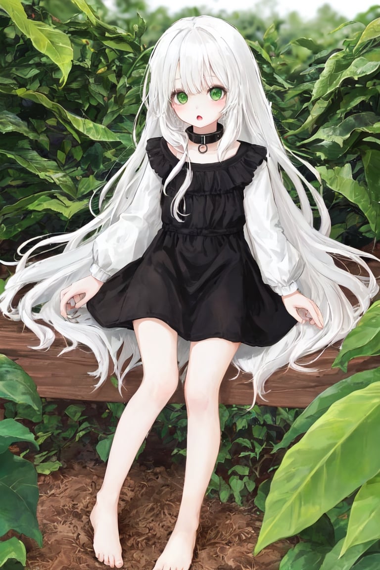 high quality
8 year old girl
albino
long white hair
pronounced nose

green cat eyes
black collar dress
barefoot

on a coffee farm