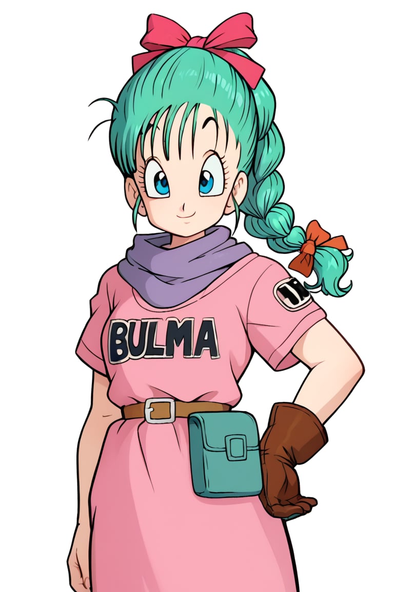 score_9,score_8_up, score_7_up, score_6_up,ultra-detailed face,detailed eyes,masterpiece, best quality, ultra-detailed,bulma \(dragonball\),1girl,smile,blue eyes,gloves,ribbon,aqua hair,braided ponytail,hair ribbon,braid,belt,character name,single braid,clothes writing,brown gloves,pouch,purple scarf,fanny pack, 1990s \(style\),arm at side,dragon radar,pink dress,pink dress, short sleeves, single glove,raised eyebrows,eyebrows,eyelashes,drgbls1