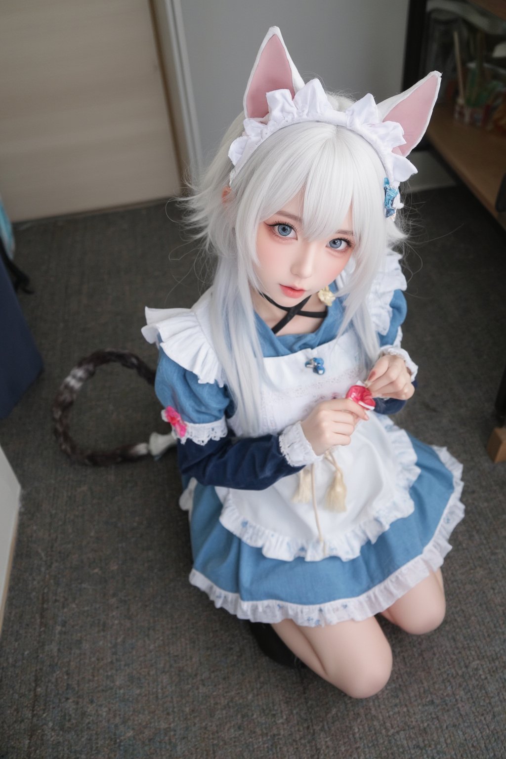 Animal ears,cat ears,male focus,apron,tail,cat tail,otoko no ko,open mouth,blue hair,solo,white hair,maid headdress,blue eyes,looking at viewer,wariza,hair ornament,cat boy,sitting,pale skin,bow,apron,far wide_shot hair eyes,far hair eyes,