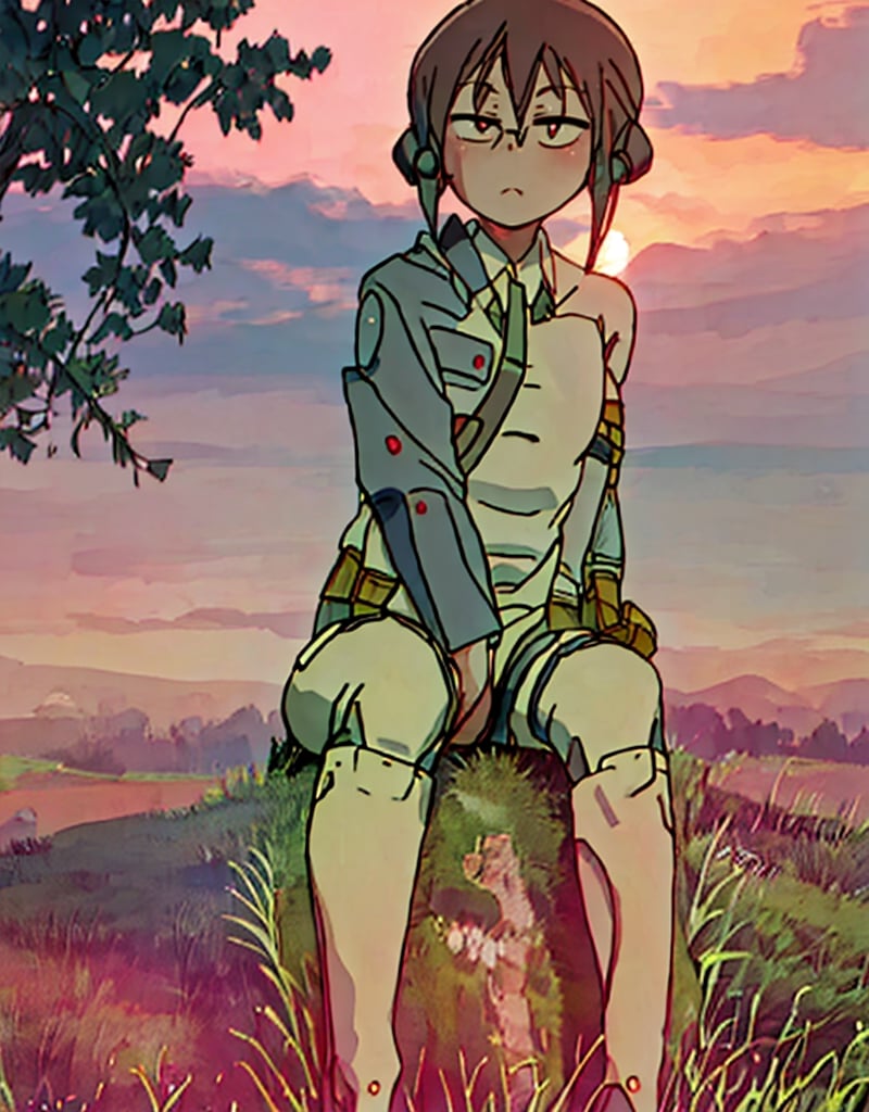 Kobayashi with [Jetstream Sam's clothes],
sitting on a hill in the meadow, with a sunset in the background,Jetstream Sam,score_9,petite