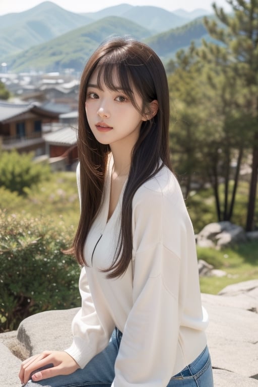 1 girl, solo, long hair, brunette hair, pretty, Korean, casual outfit, cute girl, Korean bangs, smooth hair, shiney hair, soft hair, parted lips, pretty lips, brown eyes, looking at the view, mountain view, stunning background, birds, trees, rocks