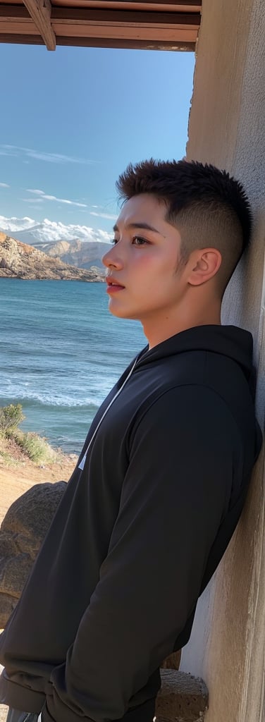 18-year-old boy, named José de la Cruz. José de la Cruz is posing in profile, looking towards a place not visible to the viewer. José de la Cruz is wearing a black sweatshirt. Behind him there is a sea and small mountains. Hyperrealistic. Photorealistic. 