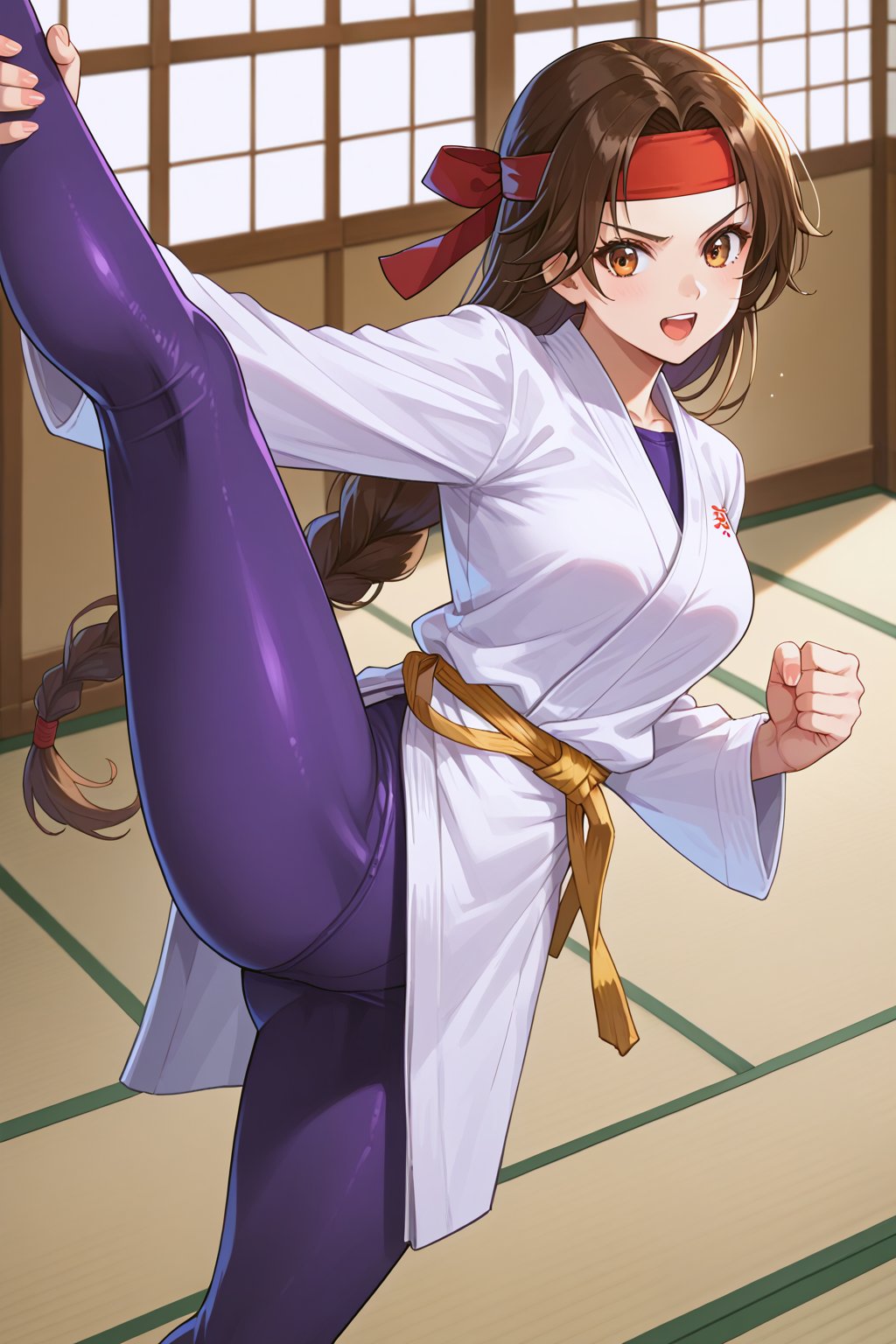 score_9, score_8_up, score_7_up, score_6_up, source_anime, perfect anatomy, beautiful_female_fingers, (((perfect hands))),
1girl, solo, yuri, long hair, brown hair, headband, red headband, 
karate outfit, white karate outfit, spandex, purple spandex, 
,
japanese style room, dojo, indoors, high kick, attack, dynamic angle
