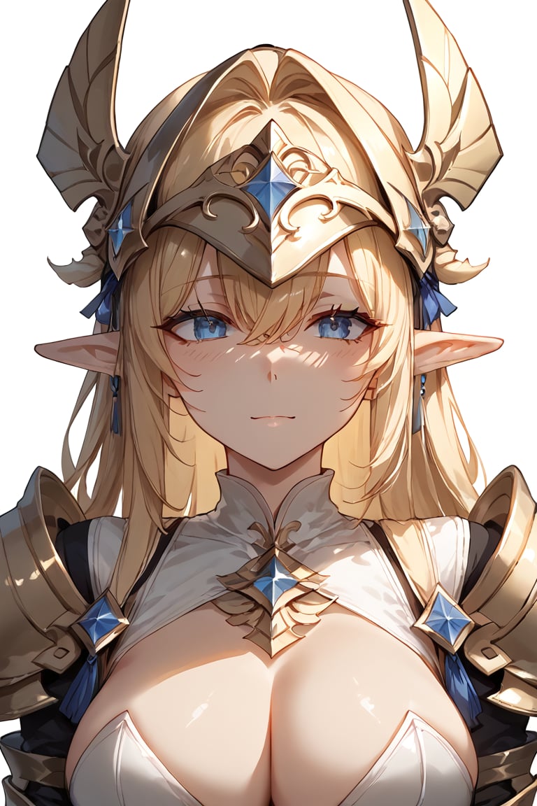 score_9,score_8_up,score_7_up,female solo,source_anime,anime,1girl,beautiful girl,shaped face,elf_ears,blond_hair,bangs,armor,helmet,(helmet over face:1.4),Expressiveh,concept art