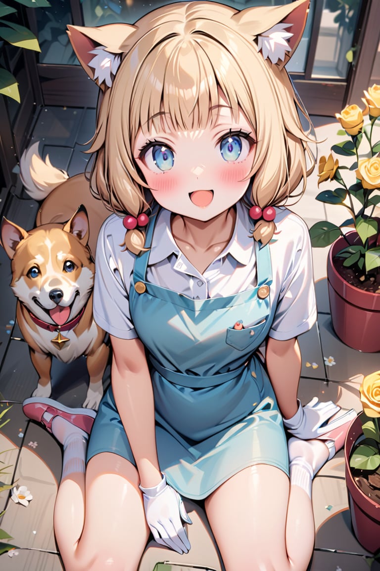 (masterpiece), sakura nene, 1girl, looking at viewer, blush, smile, short hair, open mouth, ((bangs)), blue eyes, blonde hair, brown hair, shirt, hair ornament, low twintails, , collarbone, :d, blunt bangs, hair bobbles ,

 , animal, white flower, shirt, animal ears, flower, collared shirt, , socks, , white socks, gloves, , apron,  sitting, , blush, ,tail, yellow flower, pink footwear, white shirt, animal ear fluff, , bird, kneehighs,, full body, skirt, rose, potted plant, , watering can, , shoes, blue skirt,

V-shraped eyebrows,
frog-sit, open legs,
knees away, dog between legs,
play with dog, dog looking a girl,
looking at dog, shot from front and above,

score_9,sakura nene,score_8_up,Details,mona,Detailed Masterpiece,nekomimimeganekao