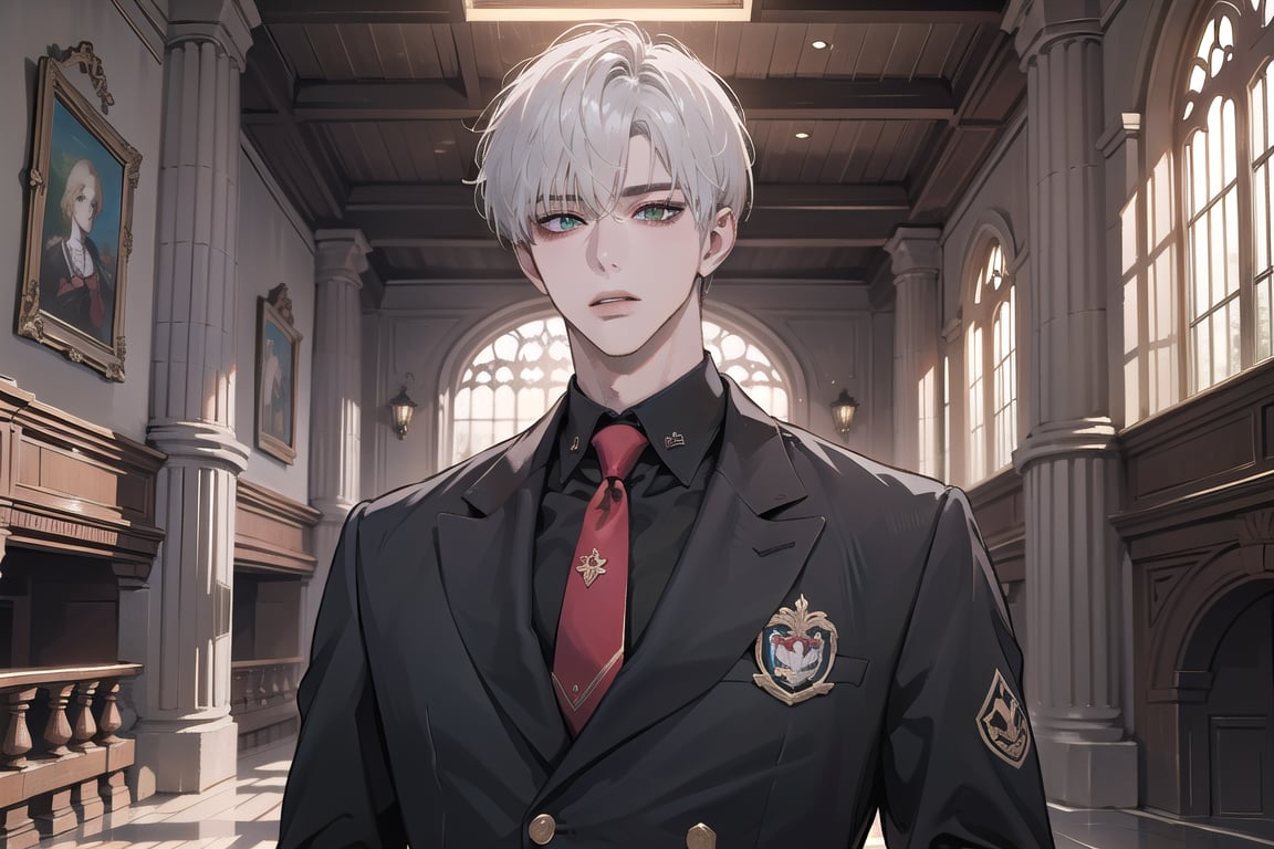 Ydor, 1boy, ((solo focus)), ((white short hair)), (Left bangs), green eyes, handsome, angular jaw, thick neck, ((School uniform:1.3)), tie, long sleeve, by Raphael, masterpiece, upper body shot, magnificent indoor hall