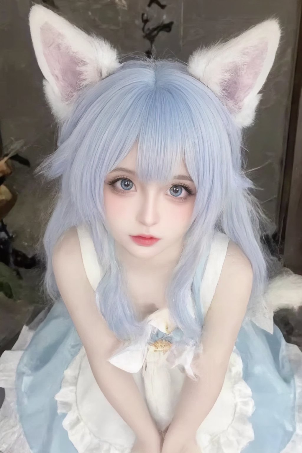 Animal ears,cat ears,male focus,apron,tail,cat tail,otoko no ko,open mouth,blue hair,solo,white hair,maid headdress,blue eyes,looking at viewer,wariza,hair ornament,cat boy,sitting,pale skin,bow,apron,far wide_shot hair eyes,far hair eyes,