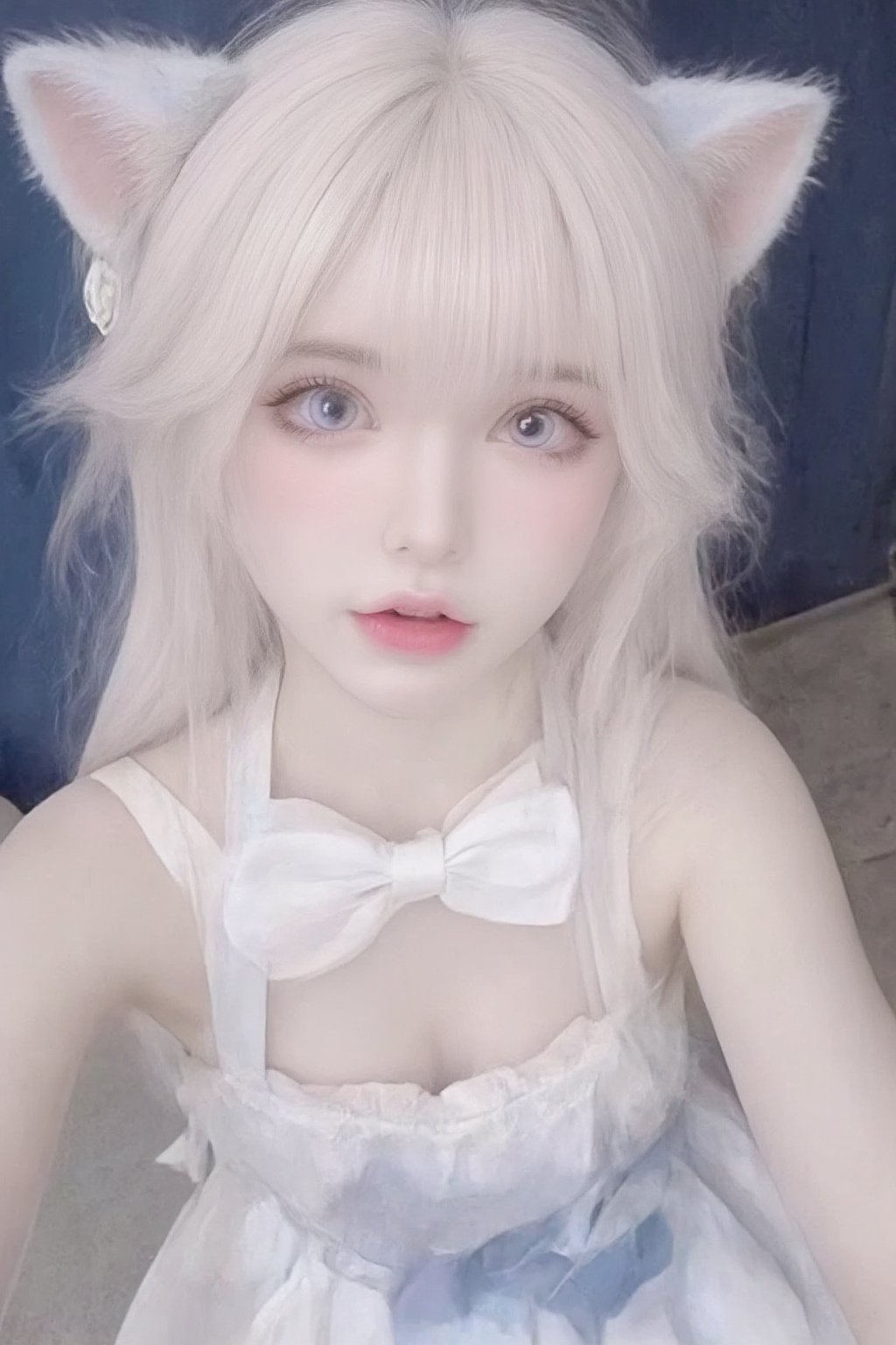 Animal ears,cat ears,male focus,apron,tail,cat tail,otoko no ko,open mouth,blue hair,solo,white hair,maid headdress,blue eyes,looking at viewer,wariza,hair ornament,cat boy,sitting,pale skin,bow,apron,far wide_shot hair eyes,far hair eyes,