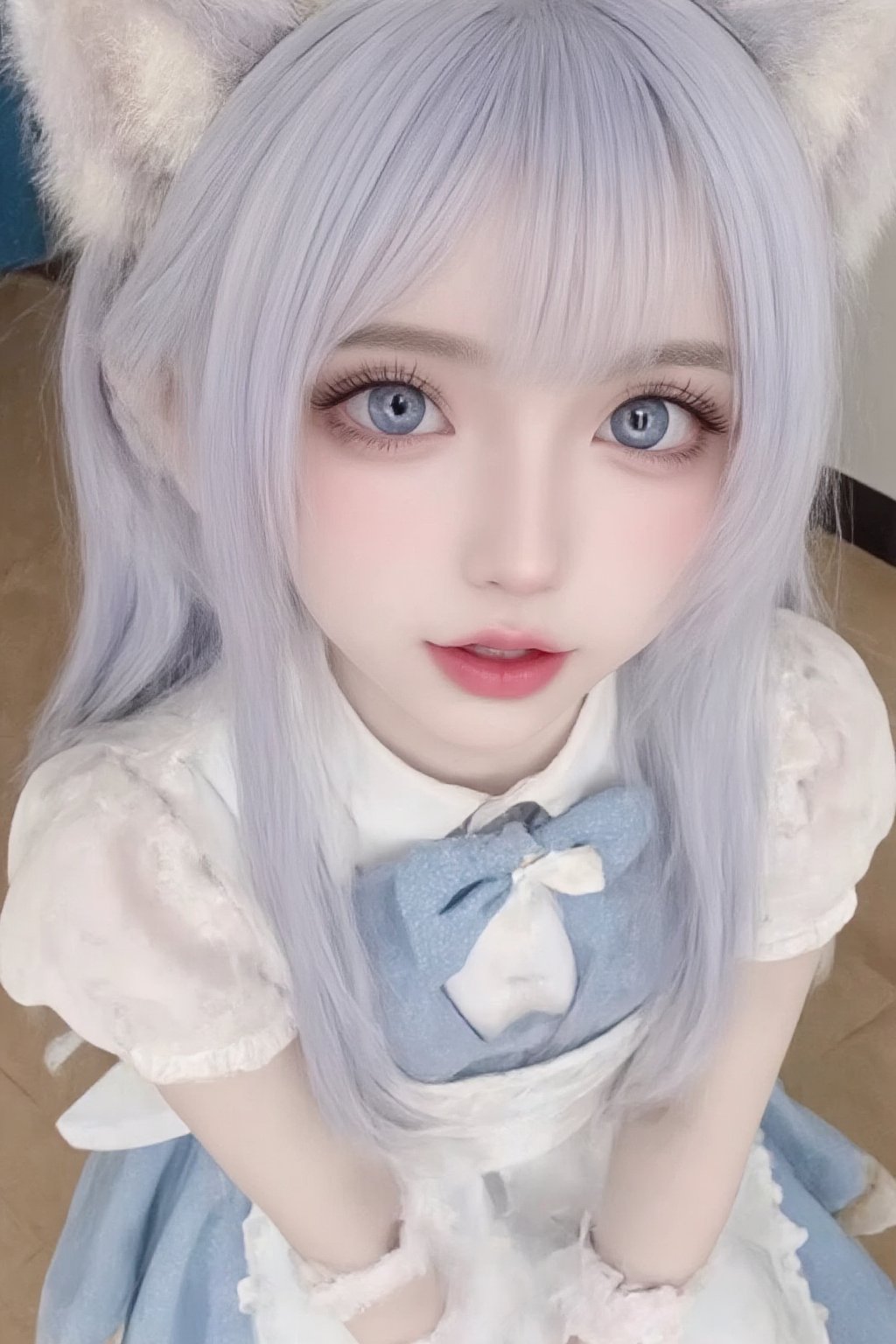 Animal ears,cat ears,male focus,apron,tail,cat tail,otoko no ko,open mouth,blue hair,solo,white hair,maid headdress,blue eyes,looking at viewer,wariza,hair ornament,cat boy,sitting,pale skin,bow,apron,far wide_shot hair eyes,far hair eyes,