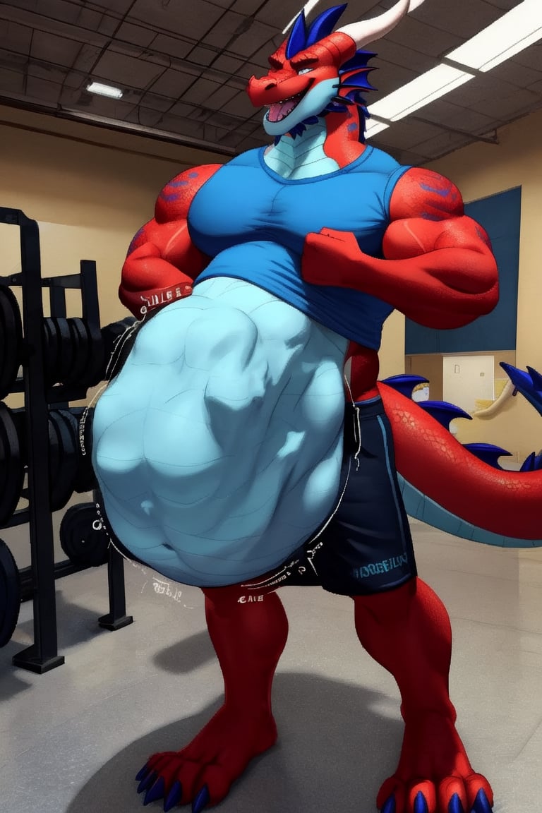 Huge Male Muscular dark red dragon, at a gym, (vore belly), (lifting weights), (digestion vore), (dark belly), (unwilling prey), (dragon) (wearing dark blue shorts and a bright blue shirt) (belching),(tall dragon),(small human standing next to the tall dragons belly),(three tall dragon's in a way too small room)