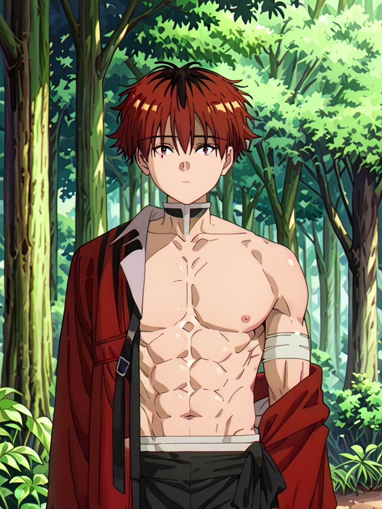 score_9, score_8_up, score_7_up, masterpiece, best quality, 1boy, male_focus, stark_sousou_no_frieren,red hair,red eyes, beautiful eyes, looking_at_viewer, forest, (shirtless), toned abs, masterpiece, best quality, (perfect proportions), (perfect face, detailed face),