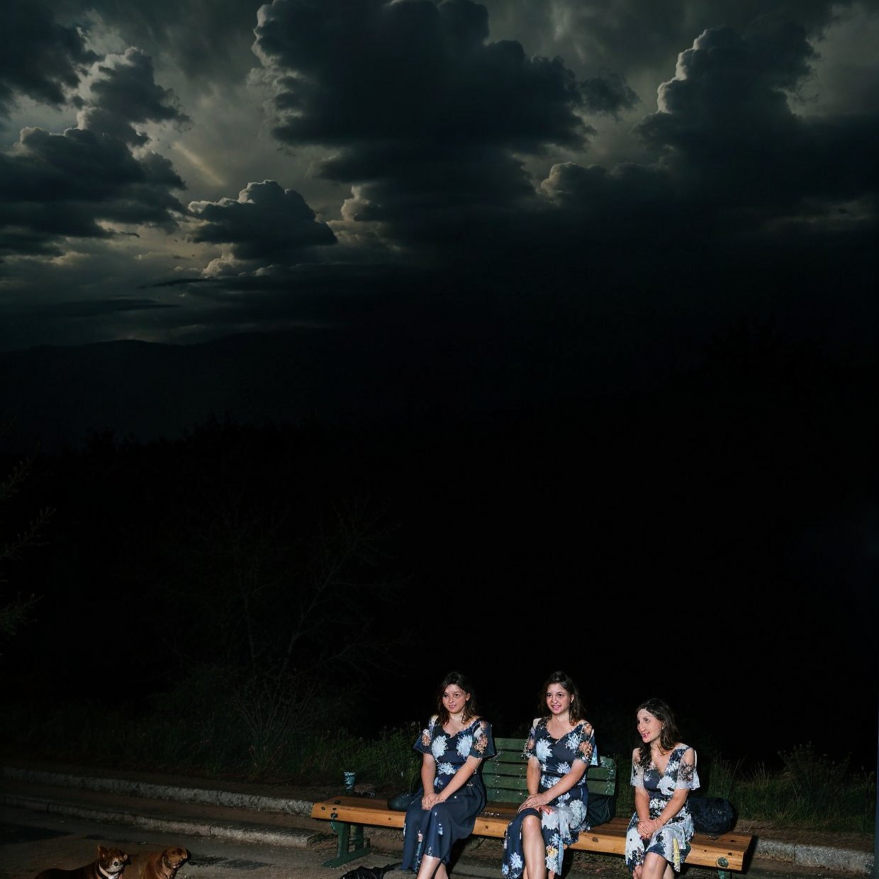 night sky and raining,best quality, a woman sat in a bench , summer_dress, dogs printed in the dress