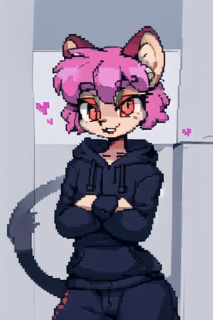 masterpiece, best quality, solo, male character (femboy), pink hair, red eyes, round opossum ears, opossum girl, anthropomorphous opossum, gray hoodie with opossum print, ,chibi,PixelArt,meowscles