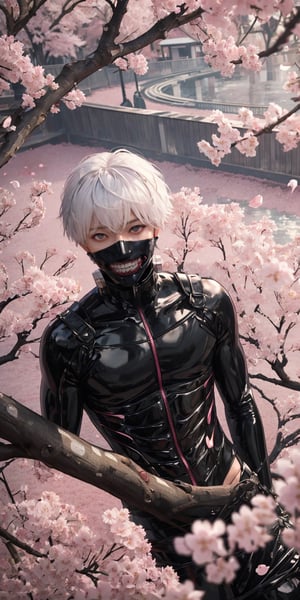 ((masterpiece, best quality)), 1boy, Kaneki ken, two tone hair black hair, white hair, BREAK, (heterochromia red and black eye), mask | teeth, blood eyes, bodysuit), waiting, outdoors, cherry blossom pathway, (pink petals floating), depth of field, sunset, from above, dutch angle, (intricately detailed).