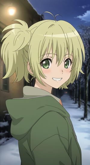 Visual Anime, masterpiece, best quality, @Cal, 1girl, solo, twintails, short twintails, looking at viewer, blush, green eyes, Cal green long coat, cal main outfit, happy, mischievous smile, closed mouth, blonde hair, outdoors, dark, dawn dark blue sky, blurry, tree, snow, blurry background, anime_screencap, fake_screenshot, snow crystal, Cal Devens, grin, Extreme detailed, masterful, dynamic lighting, shirt, blue sky, cloud, winter sky, overcast, street lamp, solo, upper body, outdoors, Cal Devens, Cal Devens Kids-Ver, snow particle, falling snow, cute