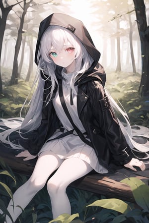 A girl with colorful eyes, heterochromatic, pale skin, long white hair with bangs, wearing a hood on her head, black leather coat, sitting on the forest floor, dim lighting linear.