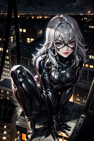 MarvelBlackCat, facial portrait, sexy stare, smirked, on top of building, night sky, city below, cars, cloudy, Spider-Man swinging, 