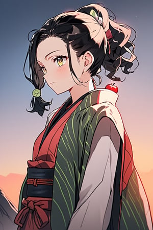 (style of Genshin Impact), ((style of Neon Genesis)), Apple hair, wavy short ponytail, Apple eyes, Content, Apple sleeveless coat, hunched back posture, cliffside, upper body,kamado nezuko