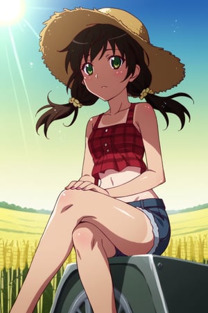 score_9, score_8_up, score_7_up,  1 girl, farmer, sitting on tractor, field, denim short shorts, straw hat, shiny skin, blush, beautiful face, green eyes, brown hair, low twintails, tan lines, crossed legs, plaid crop top, dutch angle, pink fingernails, sunlight, wind, flying leaves, sun flowers, corn field, water sparkles  , expressiveH    