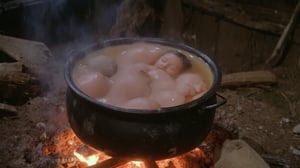 cinematic close-up vintage shot film still, a cinematic motion picture film, artistic creative color photography style, Kodak color film style, cinemascope, film grain, real creepy horror scene, (fat sleeping children are boiling in a huge old boiling cauldron. the cauldron stands on a fire in an old barn) 1980s horror.