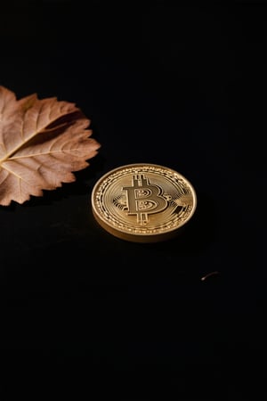 A close-up shot of a dark, rich gold coin, lit by a single soft spotlight from above, against a black matte background. The coin's intricate details and texture are emphasized by the dramatic lighting. In the foreground, a few strands of dry, rust-colored leaves add an eerie, abandoned atmosphere.