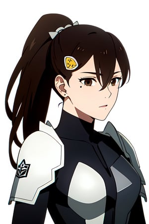 Masterpiece, best quality 

1girl, solo, mature female, long hair, hair between eyes, mole, brown eyes, ponytail, hair ornament,
 
, Bodysuit, armor,


, ((white background )):1