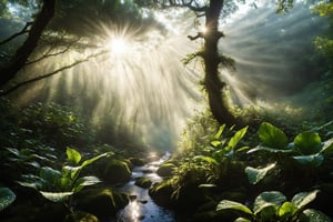 A close up wide angle panoramic photograph through dense giant shoulder high  wet dew drop covered leaves revealing a winding clear stream leading downwards through a clearing in a dense tropical forest. The stream drops down to a tall cascading waterfall dropping down in to a clear pool with black and white opals refelcting the sunlight in a miriad colours. BREAK Surrounded by flowers. Butterflies, frogs, mice, rabbits, foxes, birds and insects fly in and out of the laser straight rays of sunlight breaking through the canopy. The wet forest leaves and  shrubbery catches the light on a fresh crisp bright morning. Ultra High resolution photograph, 8k, SHD, HDR, Sharp focus, Depth of field. Digital painting ,DRG