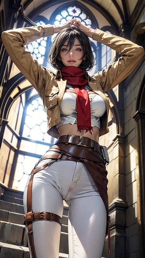 {{{masterpiece}}}, {{{best quality}}}, {{{ultra-detailed}}}, {cinematic lighting}, {illustration}, 1girl, hmmikasa, mikasa, white pants, short hair, black eyes, scarf, emblem, brown crop open jacket, belt, thigh strap, red scarf, {white pants}, white crop top, sexy ass, sexy breasts, nice hands,cleavage, 3DMM, gigantic breasts, bilateral symmetry, nice hands, In the background of medieval architecture, there are monsters and giants in the distance.,hmmikasa,