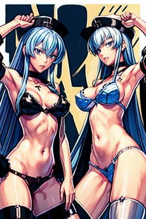 akame_ga_kill! blue_hair bra esdeath_(akame_ga_kill!) panties zumi