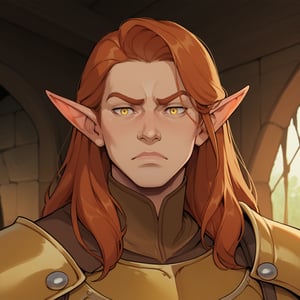 score_9_up, score_8_up, score_7_up, source_anime, rating_mature, solo,
portrait photography of a male elf \(Dungeons & Dragons\), wearing golden armor and brown mantle, auburn hair, long hair, yellow eyes,
inside a cave, looking distracted, stern