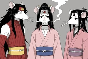 1 Animals, "Rat" (black and white) smoking in a chat or cool way, anime style,

HAKU,furry rat,ratfolk, SASH, LONG SLEEVES,TURTLENECK, RIBBED SWEATER, JAPANESE CLOTHES,FOREHEAD PROTECTOR, SINGLE HAIR BUN,SIDELOCKS, COLLARBONE,SLEEVELESS,PINK KIMONO,CHOKER,LONG HAIR, MALE FOCUS, ANDROGYNOUS,OTOKO NO KO, PARTED BAN, BLACK EYES, BLACK HAIR