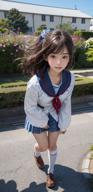 1 French-Japanese  girl, full body, small breasts, looking at viewer, blue eyes, brown hair, holding, standing, japanese serafuku uniform,white background,flower garden,blue and white school uniform,running, wind blown,portrait,AgoonGirl