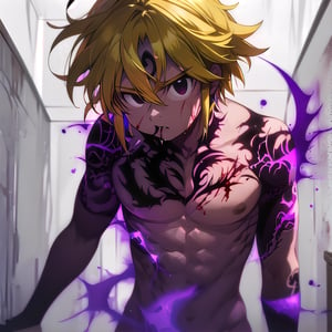 solo, male, depth of field, ((masterpiece, best quality)), demon, evil, The left part of the body is made of purple energy, purple aura, meliodas_nanatsu_no_taizai,blonde hair, empty eyes, fantasy world in background, meliodas in demon form, Blood coming from his mouth, Purple tattoo on his forehead, black eyes,perfecteyes