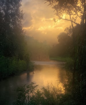 a beautiful detailed landscape, a serene lake, a fisherman casting a fishing line, detailed realistic fishing equipment, a peaceful forest background, warm golden hour lighting, highly detailed, photorealistic, 8k, masterpiece