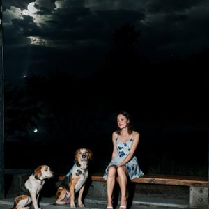 night sky and raining,best quality, a woman sat in a bench , summer_dress, dogs printed in the dress