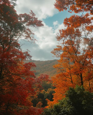 Wallpaper, standing autumn, maple leaves, trees, sky, white clouds, HD detail, wet watermark, hyperdetail, film, surrealism, soft light, deep field focus bokeh, ray tracing, diffusion (ultra-fine glass reflection) and surrealism.