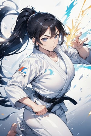 Paris Olympics, (((judo))),  
anime style beautiful woman, 1girl, (ponytail), black hair, (long hair), 
Slender, skinny, (turime), thick eyebrows, 
dougi, black belt, white pants, 
Judo combat pose, judo uniform with tricolor line, dynamic pose, motion blur, emphasis line, sparks, plasma, aura, 
Olympic Stadium, 
JudoCh