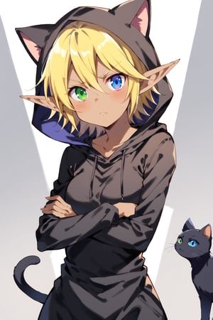  ((wearing cat costume)), (((black costume))), hood, Aura Bella Fiora \(overlord\), 1girl, solo, short hair, blonde hair, hair between eyes, blue eyes, green eyes, heterochromia, dark skin, elf, ((another black cat)), 
looking at viewer, serious face, blush, crossed arms, 


face, close up, simple background, standing, stylish pose, 
score_9,score_8_up,score_7_up,source_anime, dutch angle, 