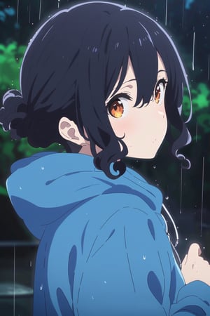  Visual Anime, masterpiece, best quality, 1girl, solo, curly ponytail, looking at viewer, blush, bangs, orange eyes, shirt, hair between eyes, closed mouth, blue rain jacket, dark, hoodie, sweat, upper body, black hair, outdoors, looking back, blurry, tree, blurry background, falling water, rain, overcast, umbrella, anime_screencap, fake_screenshot, dark sky